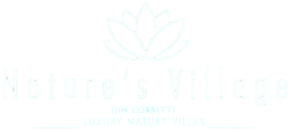 transparent__logo